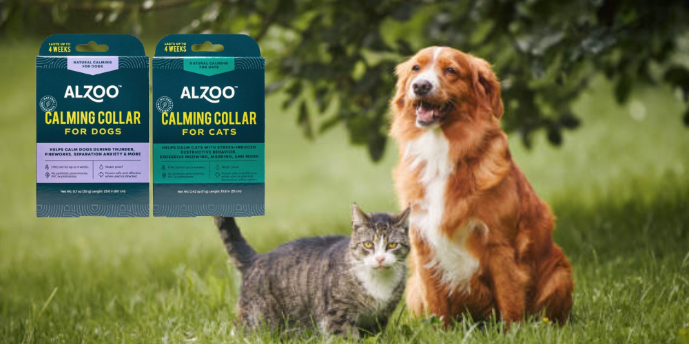 Calming Collars