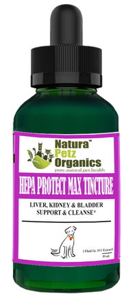 Hepa Protect Max - Daily Organ Support & Cleansing Tincture for Pets