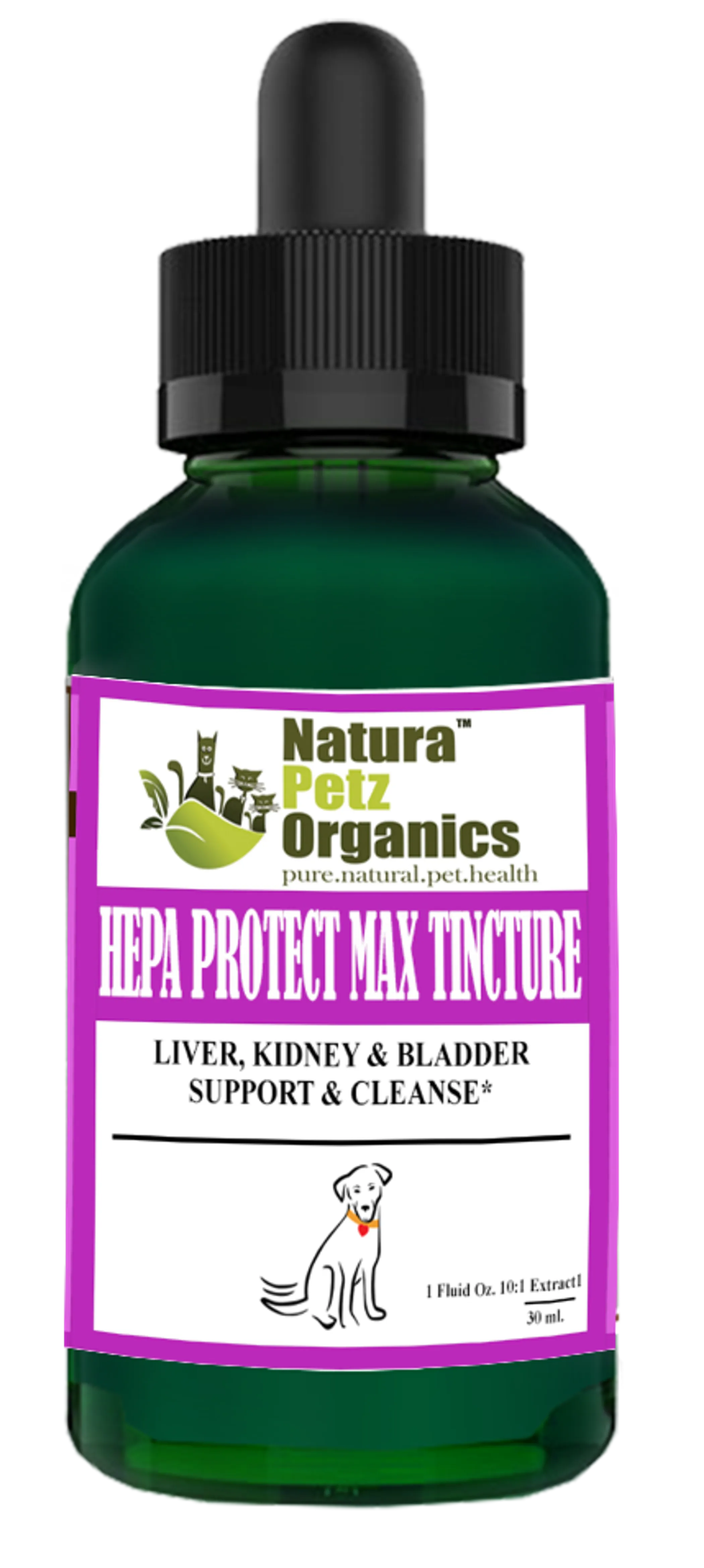Hepa Protect Max Tincture - Liver Kidney & Bladder Support