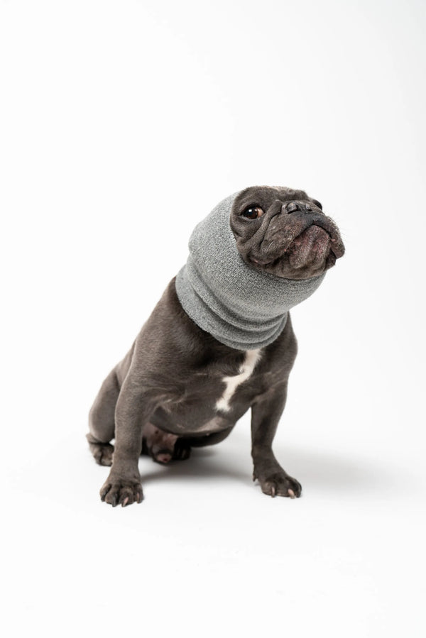 Pet Hoodz Calming Dog Hoodie - Noise Reduction for Grooming & Fireworks